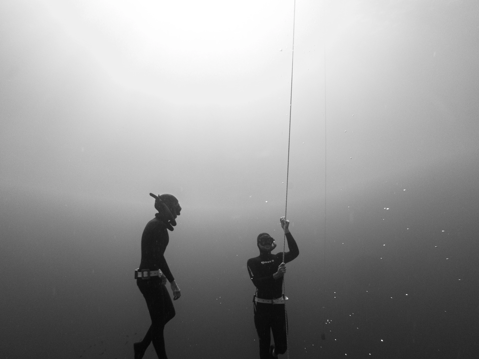 Freediving Tenerife gallery photo 8