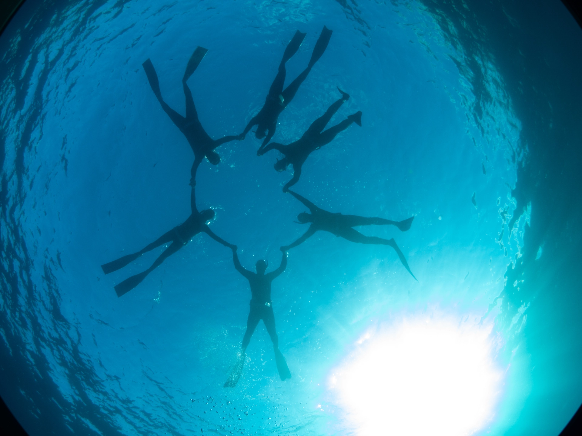 Freediving Tenerife gallery photo 5
