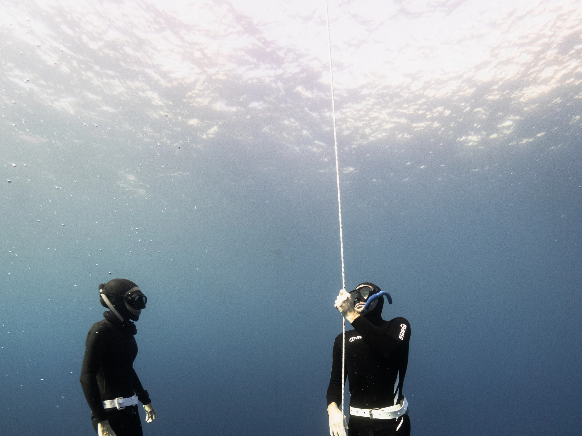 Freediving Tenerife gallery photo 9