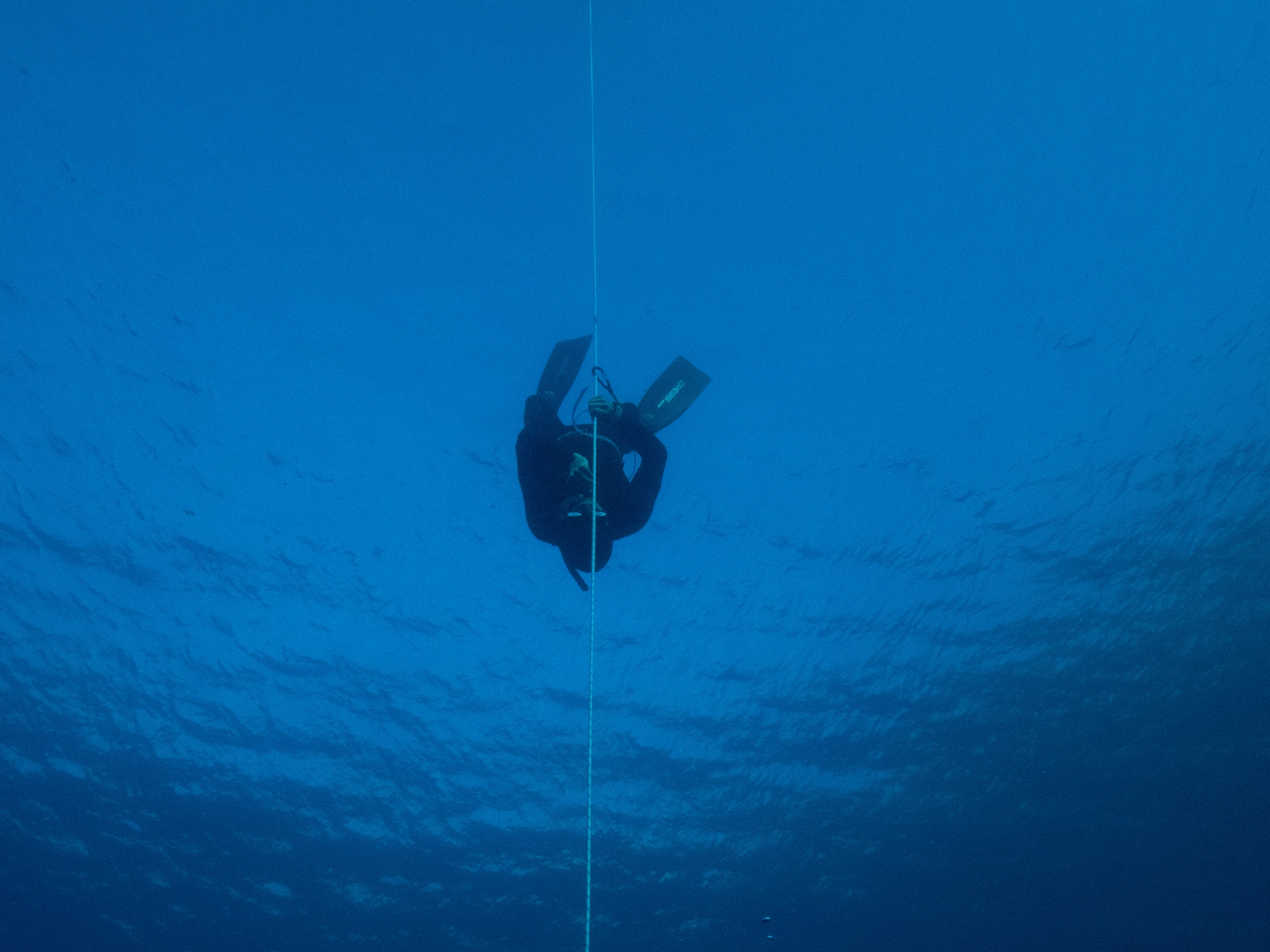 Freediving Tenerife gallery photo 10