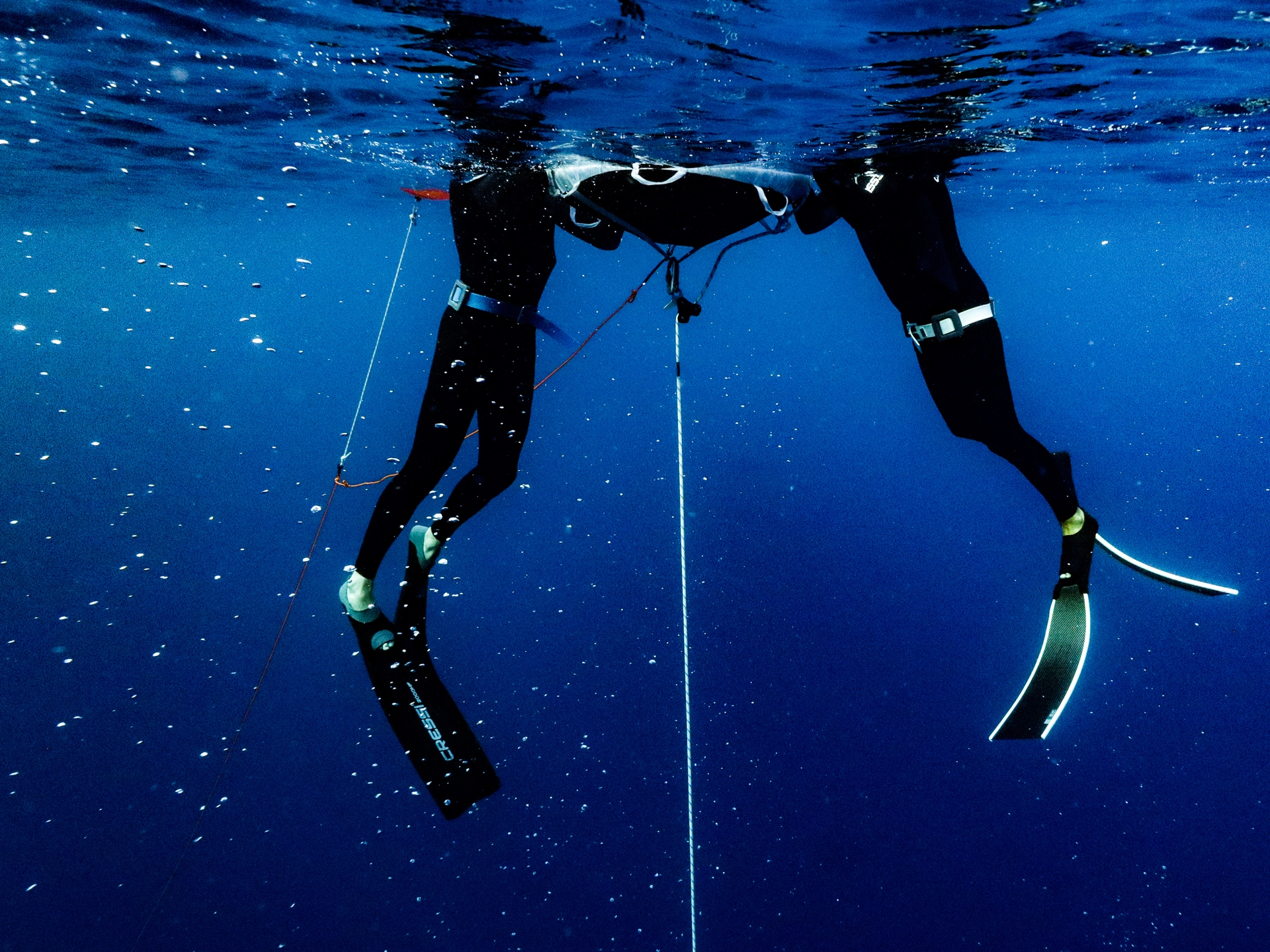 Freediving Tenerife gallery photo 6